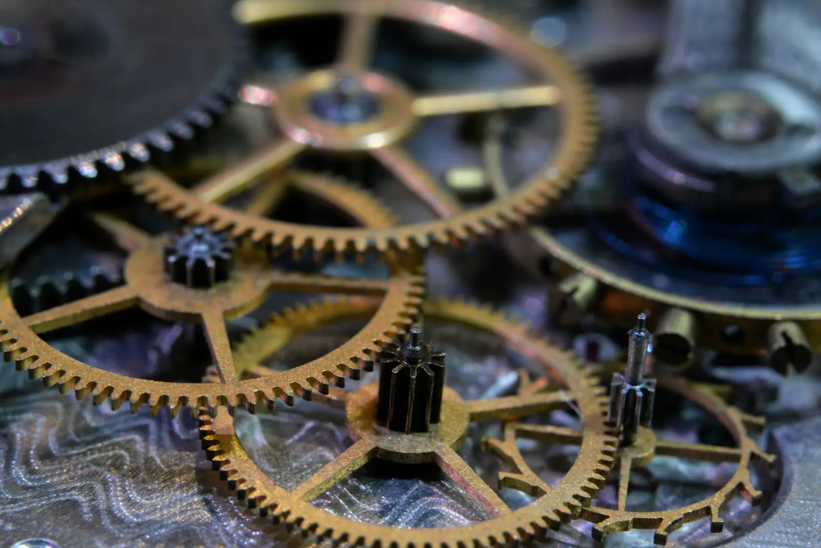 Macro of the M-01 going train: brass wheels meshing with steel pinions