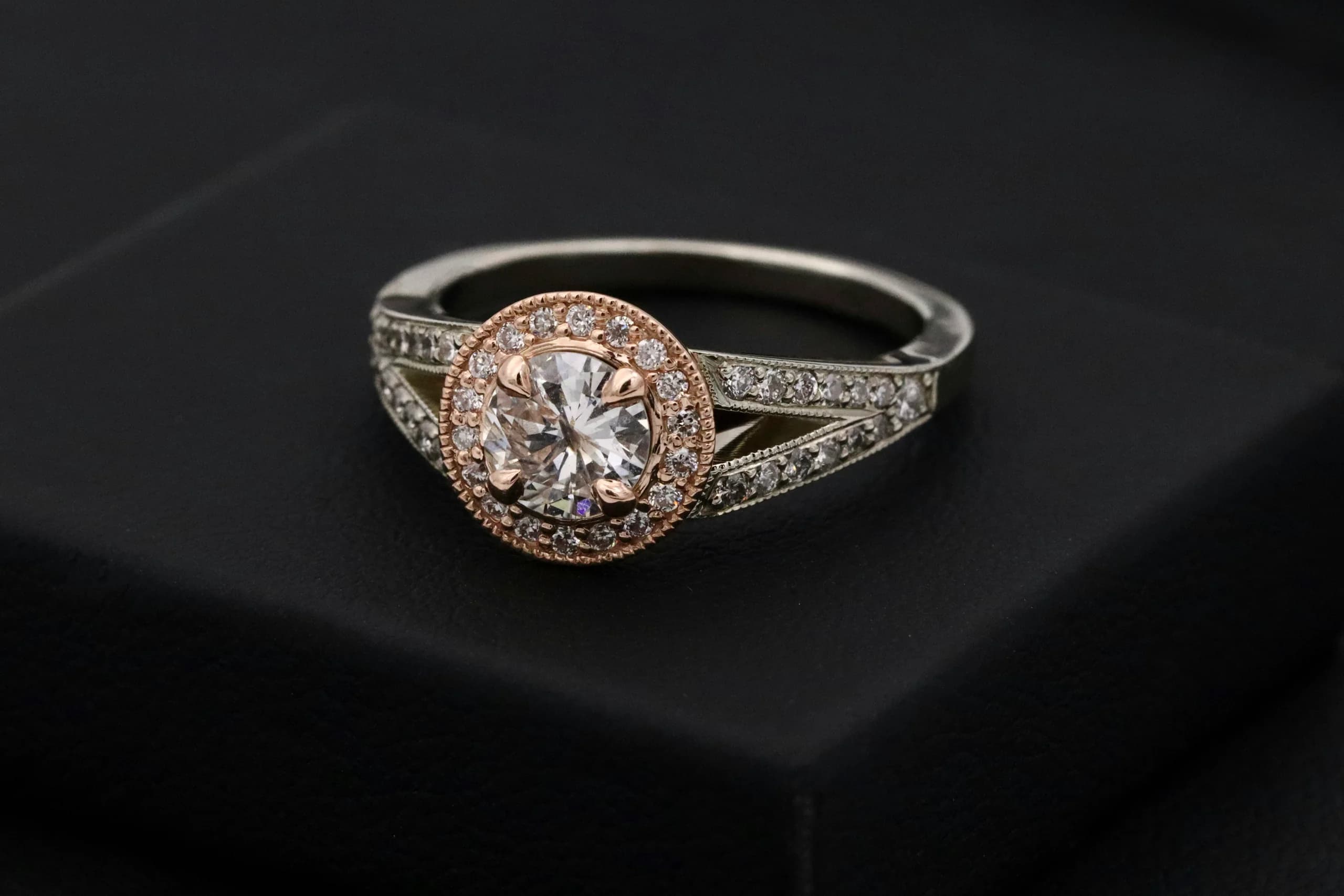 Le Méridien — A brilliant centre ringed in rose gold, on a split platinum shank whose two halves each carry eleven stones.