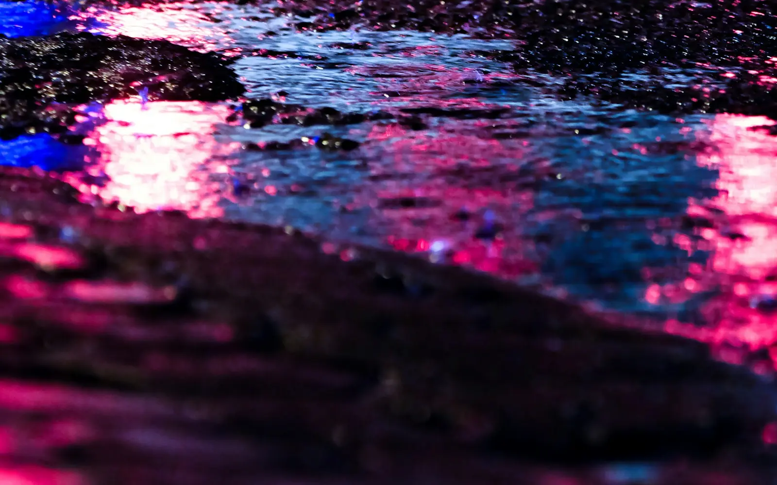Pink and blue neon smeared across rainwater on cracked asphalt.