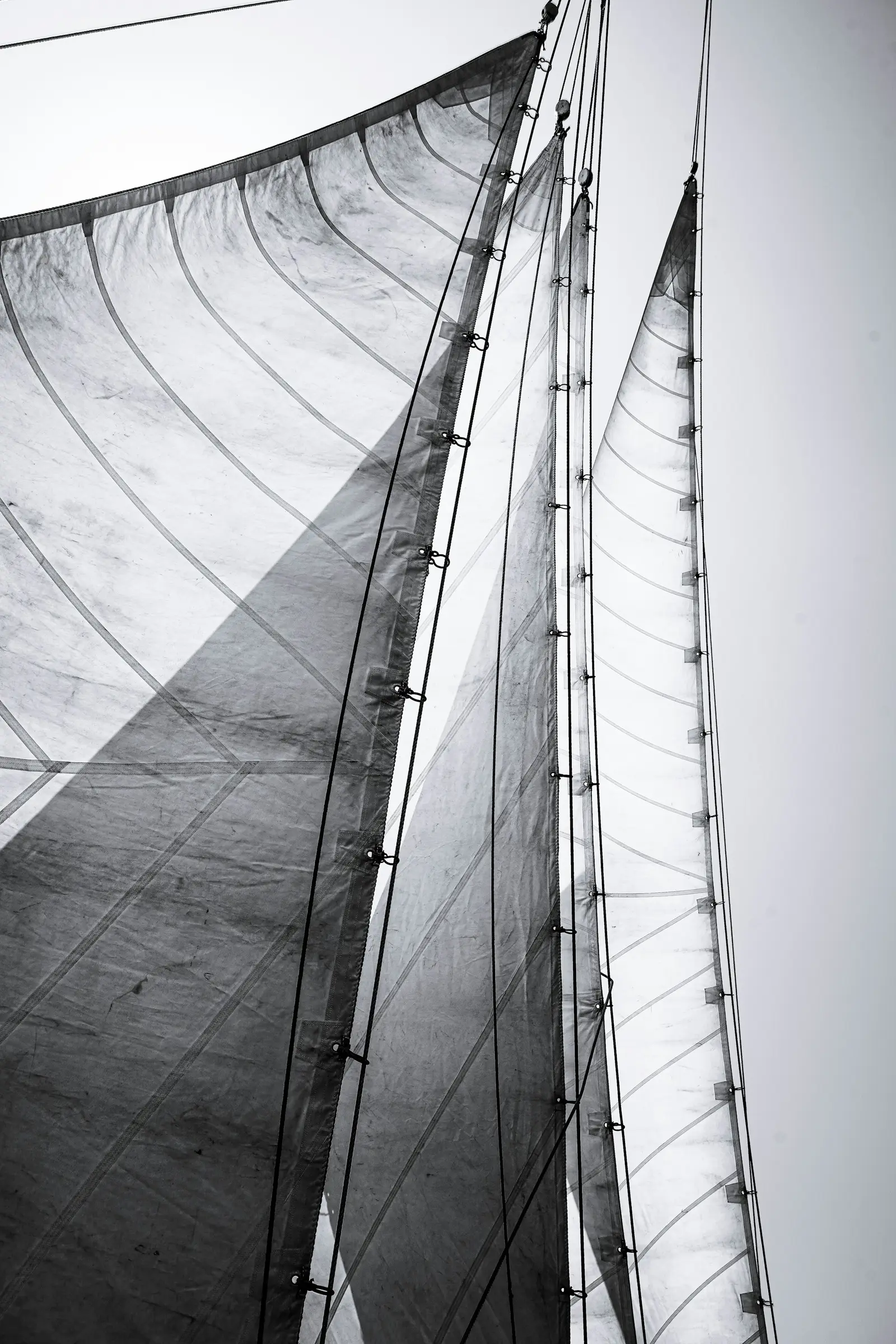 Backlit sails and rigging seen from the deck, monochrome against a pale sky
