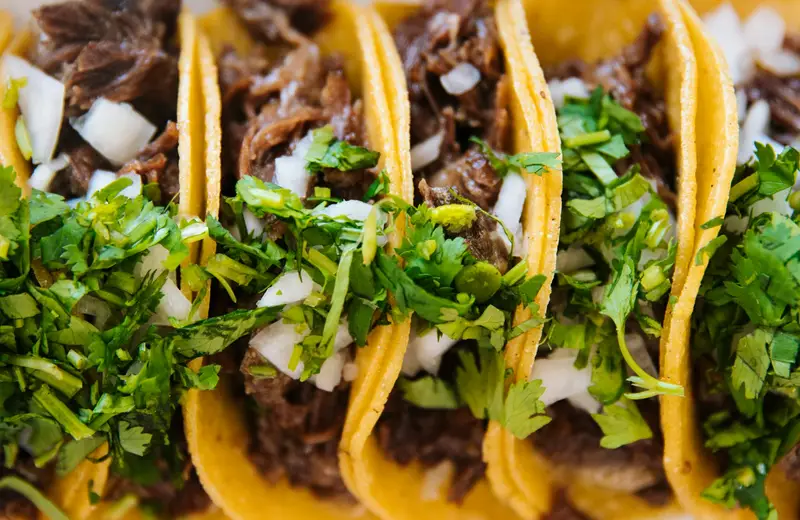 Shredded slow-cooked beef tacos topped with cilantro and onion
