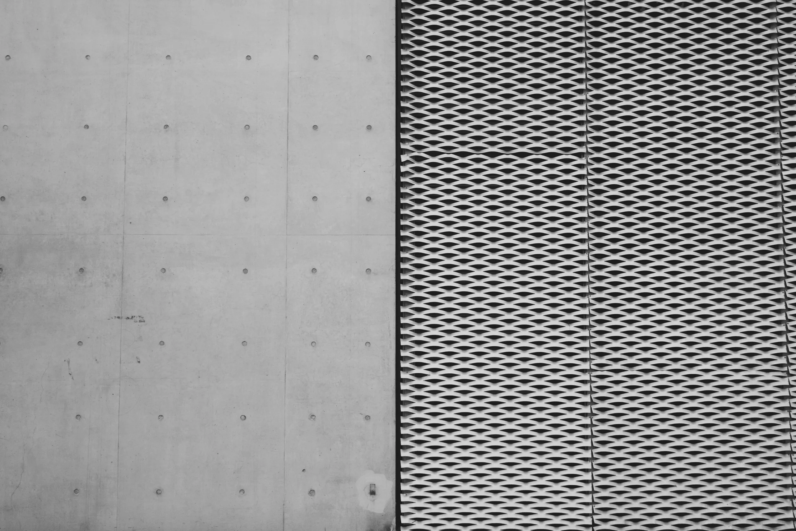 Monochrome photograph of a concrete panel meeting a wall of expanded metal mesh, the two textures divided by a single vertical joint