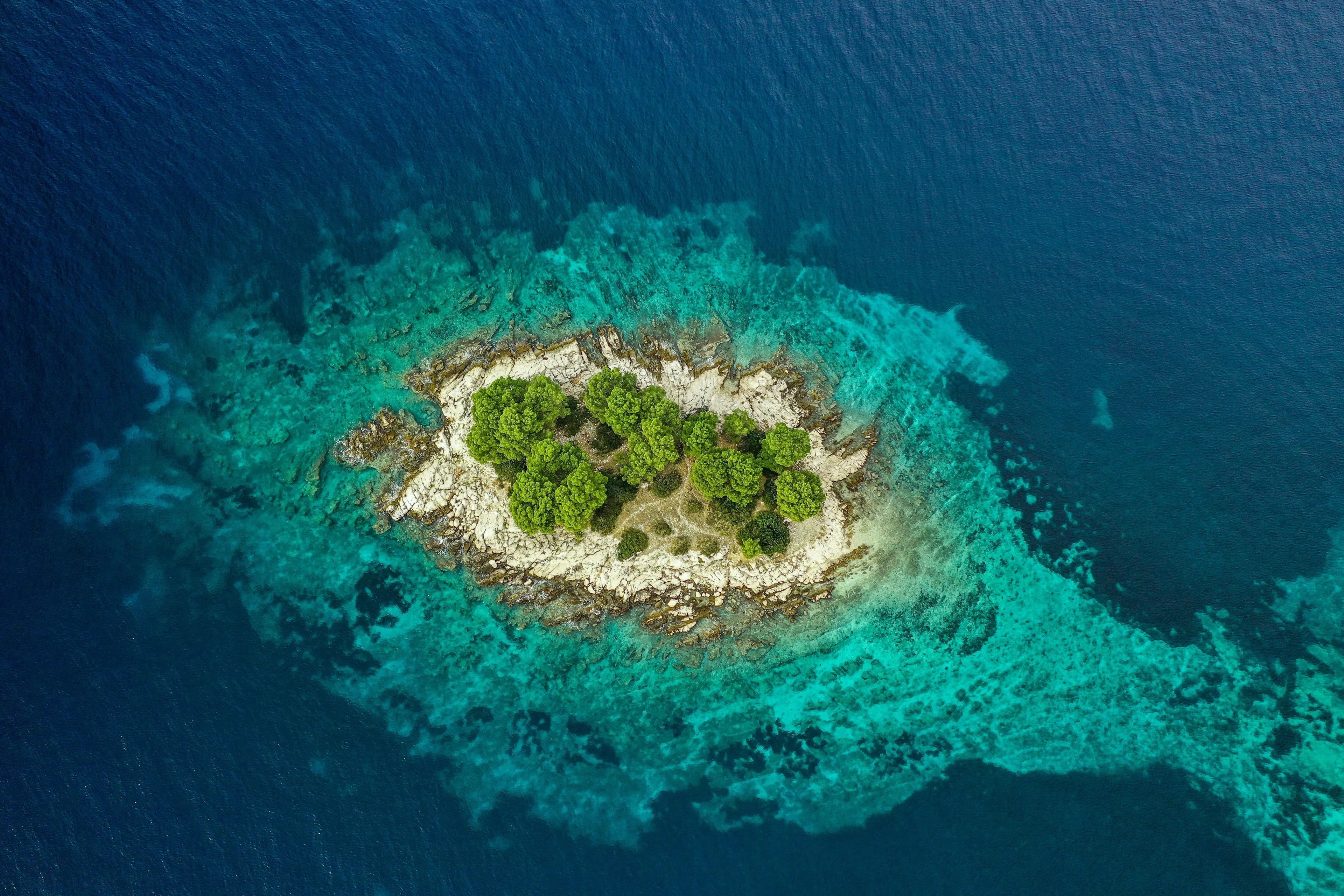 A small wooded islet ringed by white rock and bright turquoise shallows, seen straight down from the air